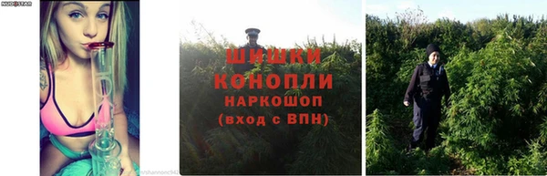 соль ск Зерноград