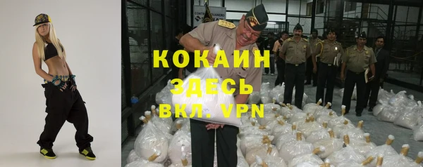 PSILOCYBIN Заводоуковск