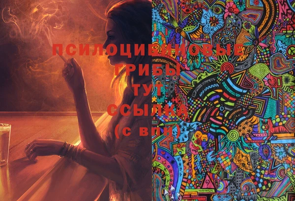 соль ск Иннополис